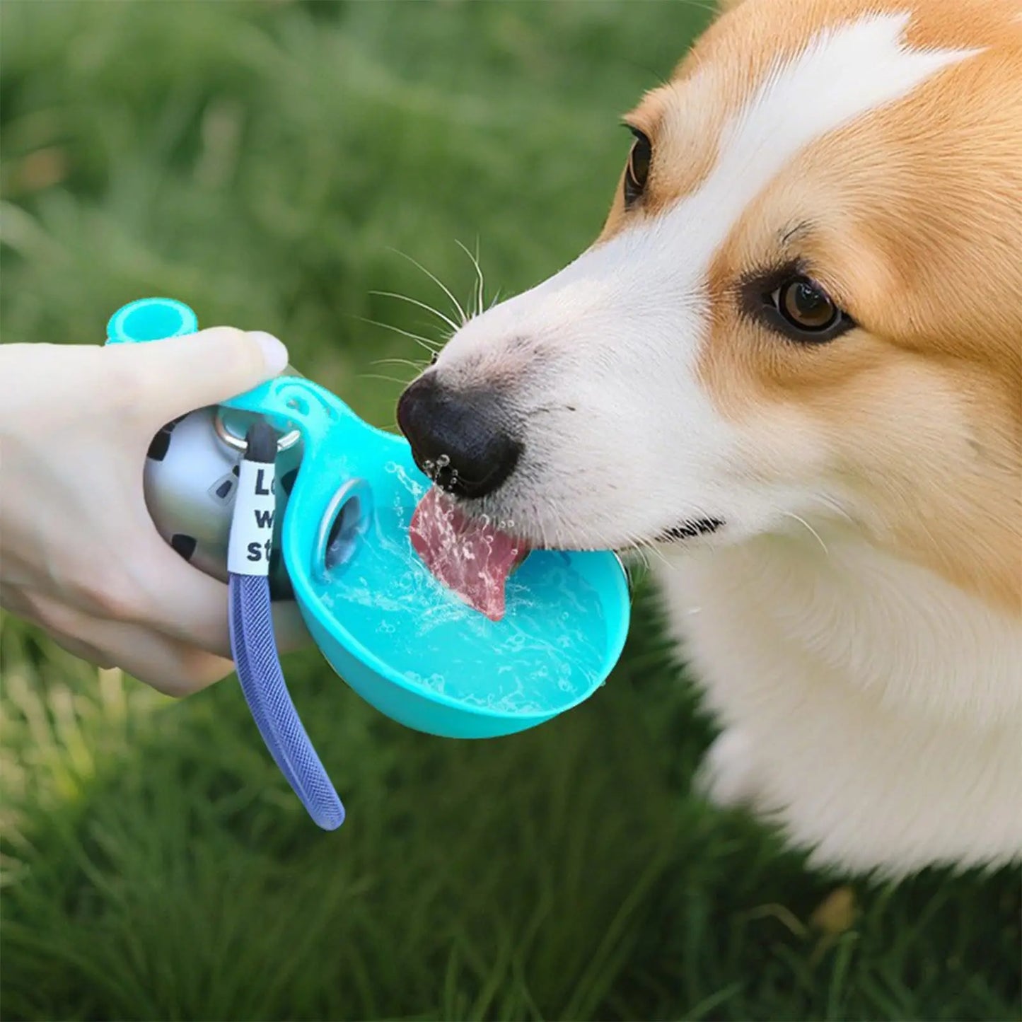 Stay Hydrated on the Go: 2-In-1 Leak-Proof Portable Dog Water Bottle for Small Dogs - Durable Stainless Steel & Silicone Design