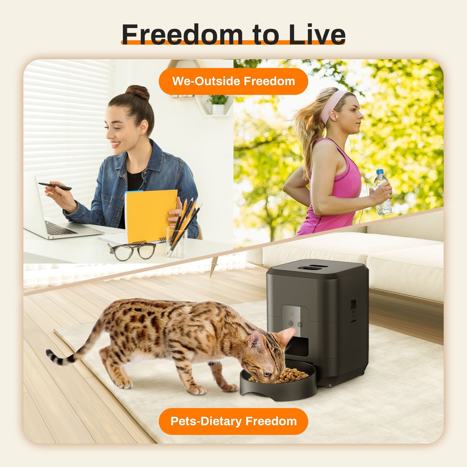 Smart Automatic Pet Feeder with Remote Scheduling for Your Feline Friend